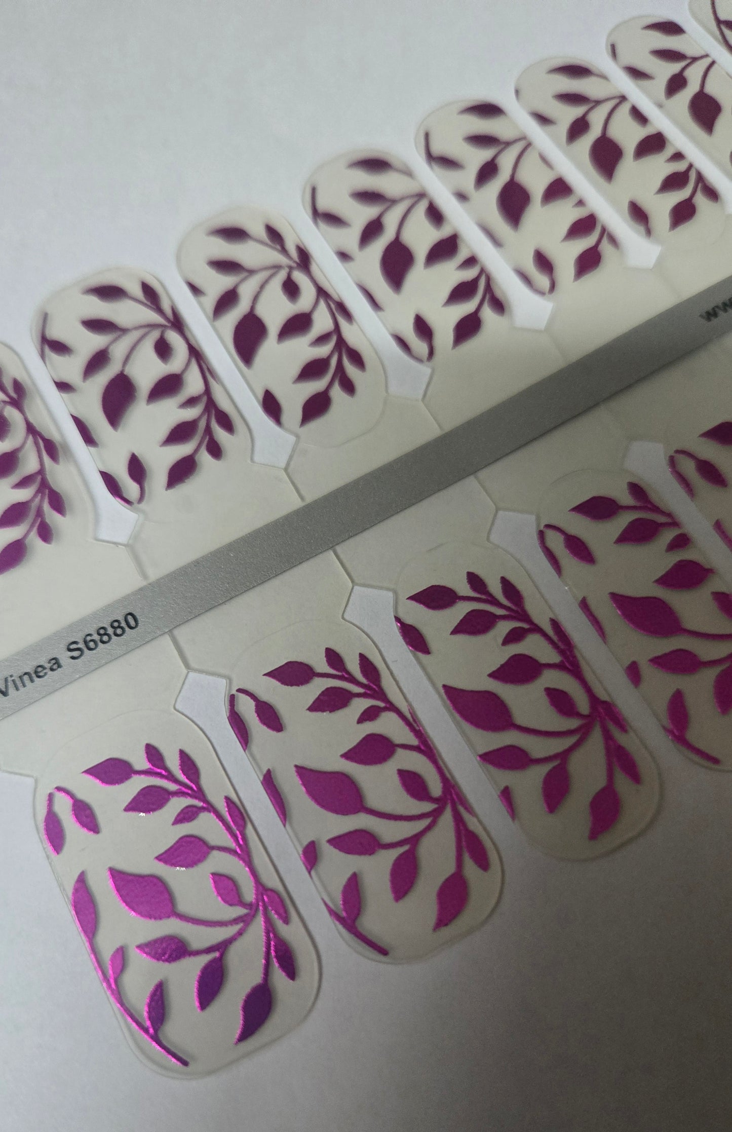 Exclusive GlossFlex - Summer 26 - Vinea S6880 - LIMITED!