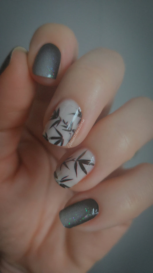 Exclusive - Emily S1813 - (transparent) LIMITED!