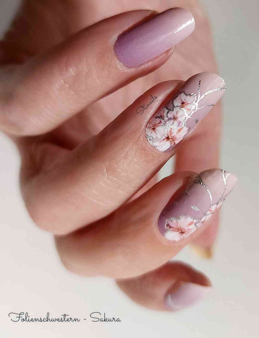 Exclusive - Sakura S6678 - LIMITED!