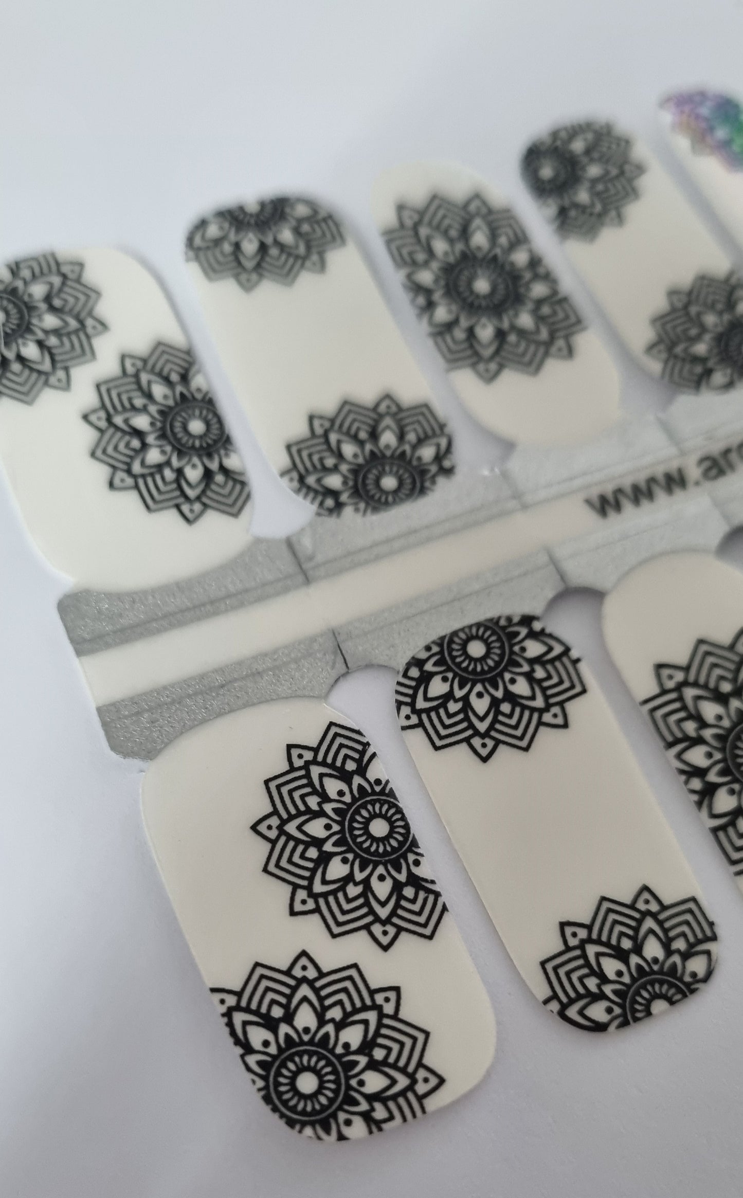 Exclusive - Dreamer Black (transparent) S6601 - LIMITED