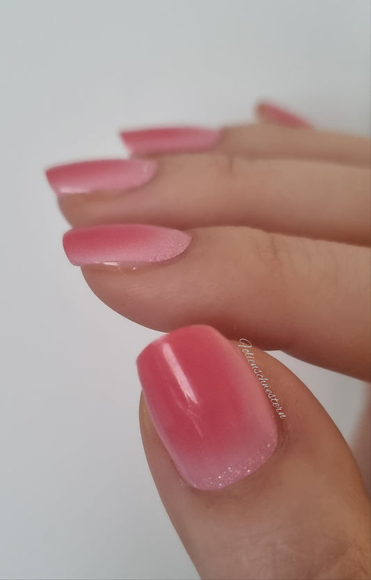 Exclusive - Kelly S6556 - LIMITED!