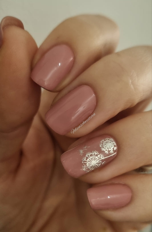 Exclusive - Lomi S6543 (transparent) - LIMITED!