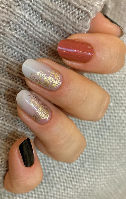 Exclusive - Harvey S6629 - LIMITED!