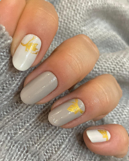 Exclusive - Kaida S6649- LIMITED!