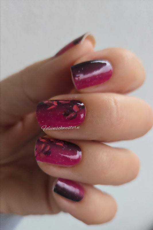 Exclusive - Hampton Harvest S6777 - LIMITED!