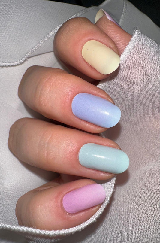 Exclusive – Shelly S6355 - LIMITED!