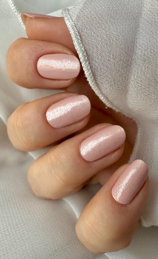 Exclusive - Rachel X6733 - LIMITED - 2x14 Stück