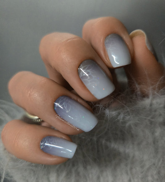 Exclusive - Gala S6690 - LIMITED!