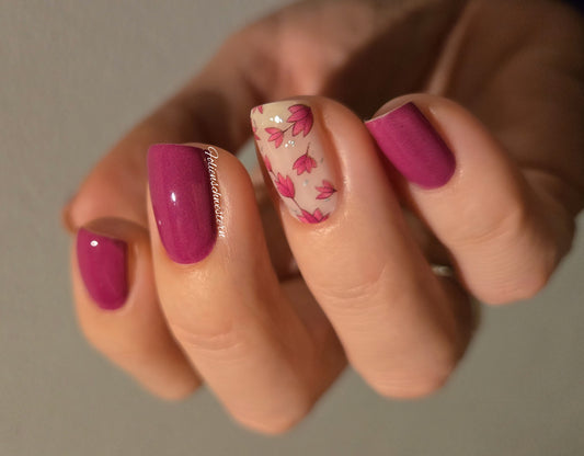 Exclusive - Caris S6651 - LIMITED!