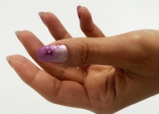 Ombré - Lydia (semitransparent) - K735