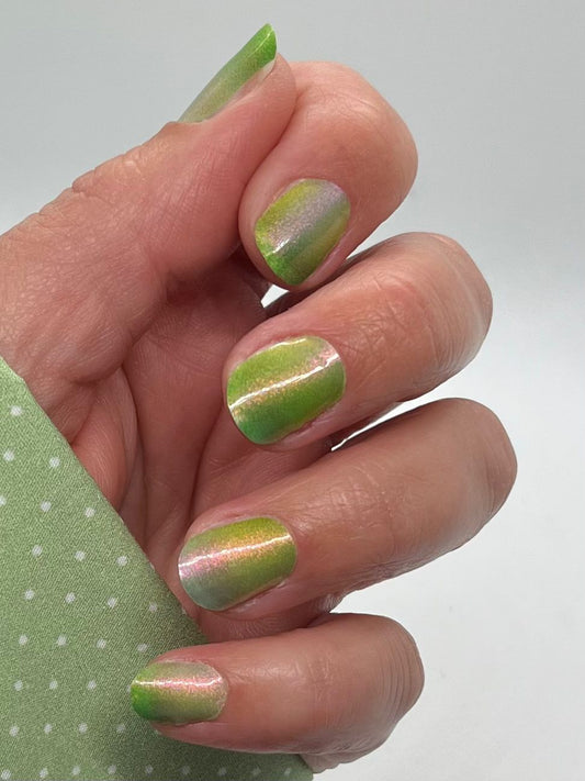 Specials - Kiwi Shine SX072