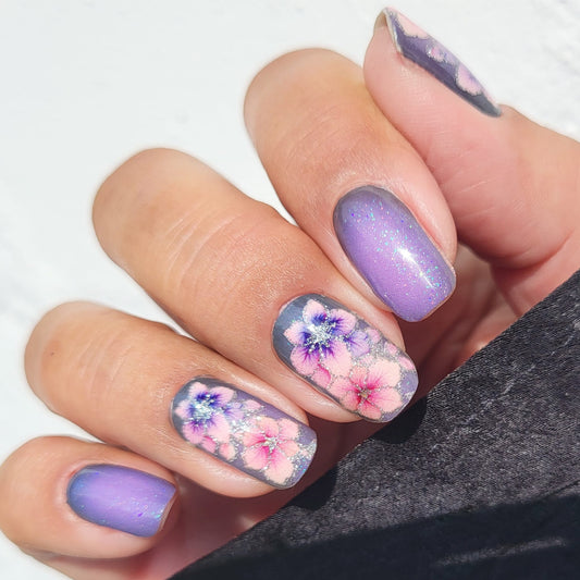 Exclusive GlossFlex - Dreams (transparent) S6843 - LIMITED!