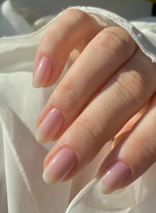 Exclusive - Rose Boomer (Semi-/Transparent) X6509 - LIMITED - 2x14 Stück