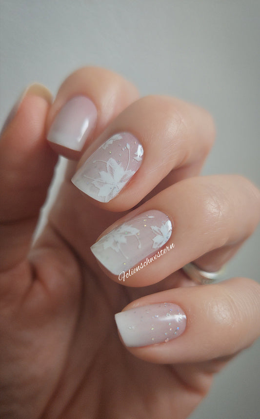 Exclusive - Figaro S6823 (transparent) - LIMITED!