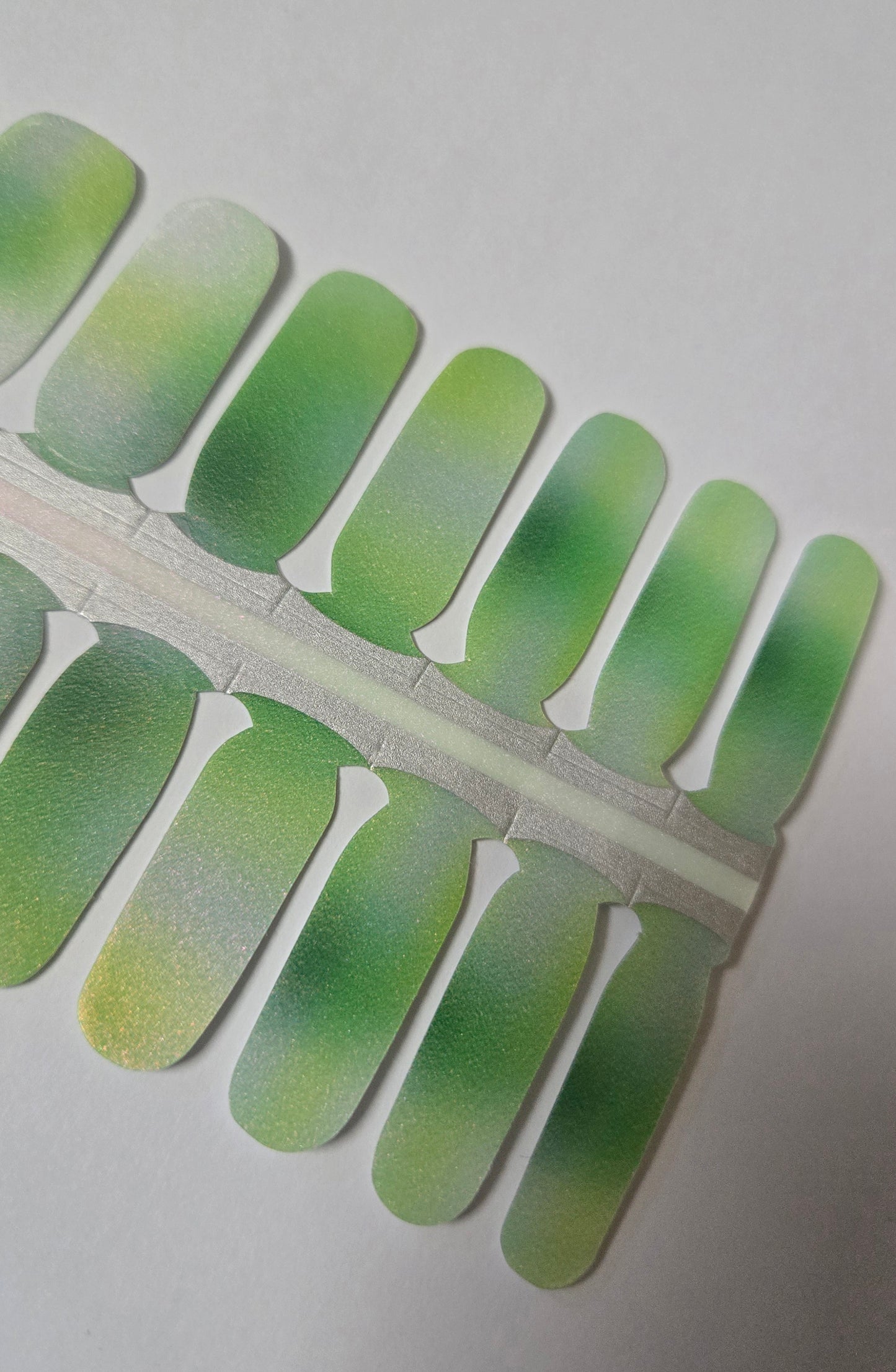Specials - Kiwi Shine SX072