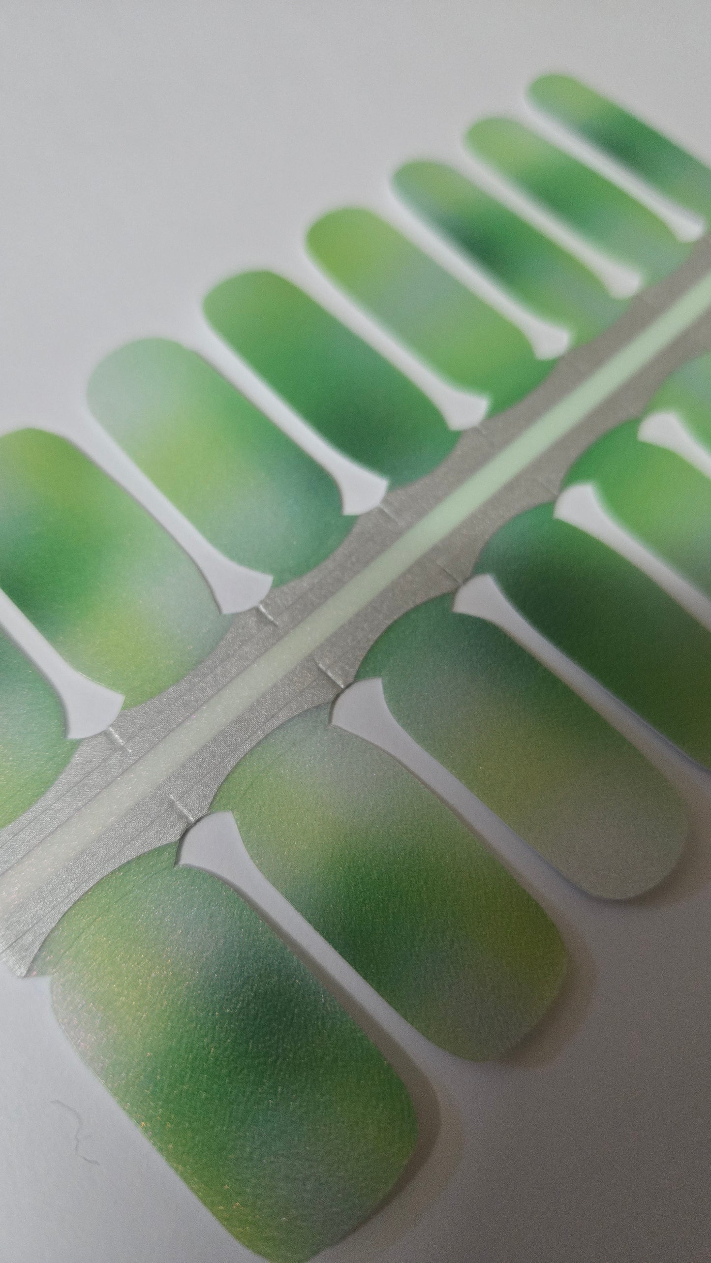 Specials - Kiwi Shine SX072