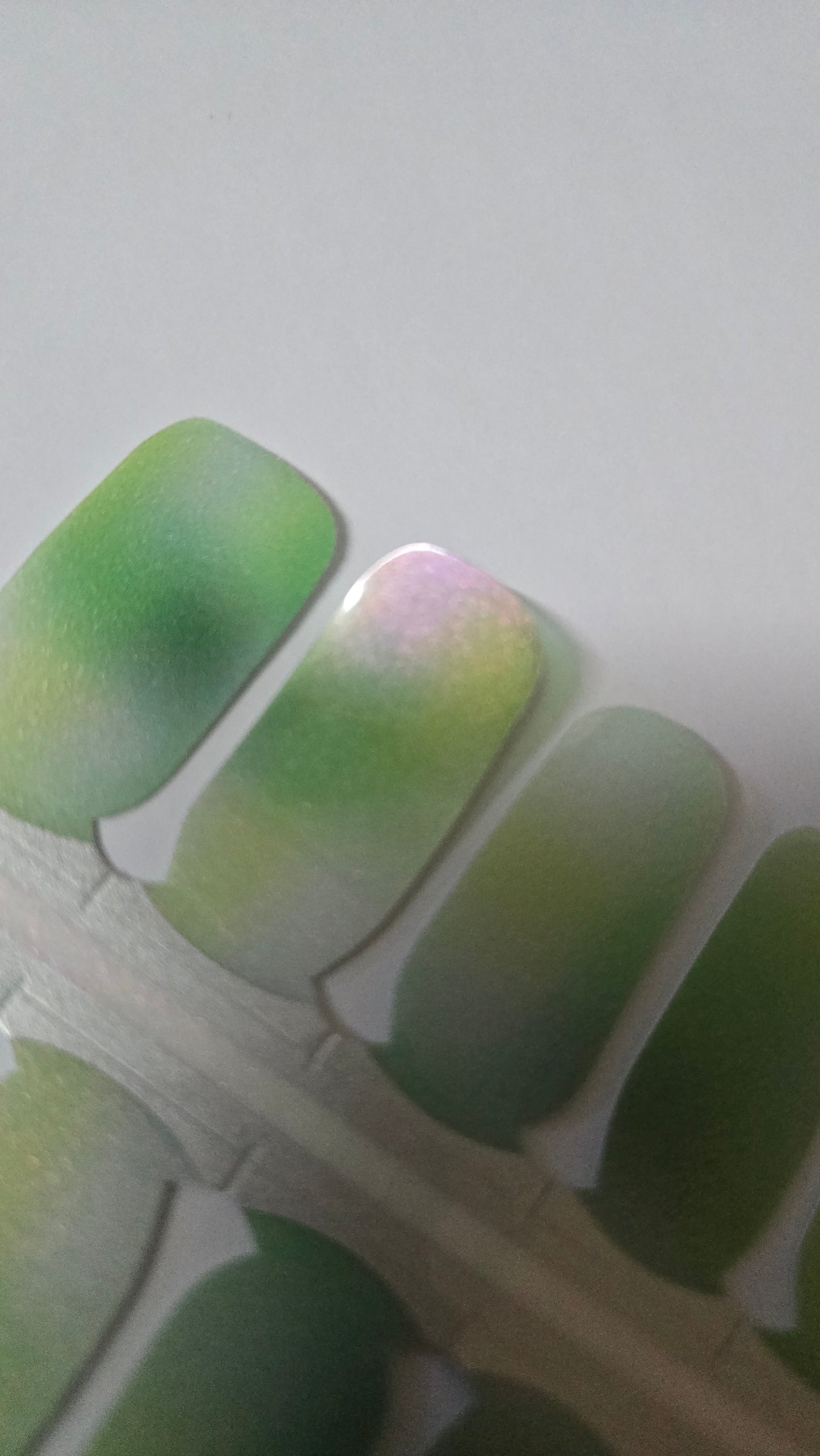 Specials - Kiwi Shine SX072