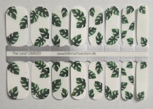 Exclusive - Summer 26 - The Leaf S6820 (transparent) - LIMITED!