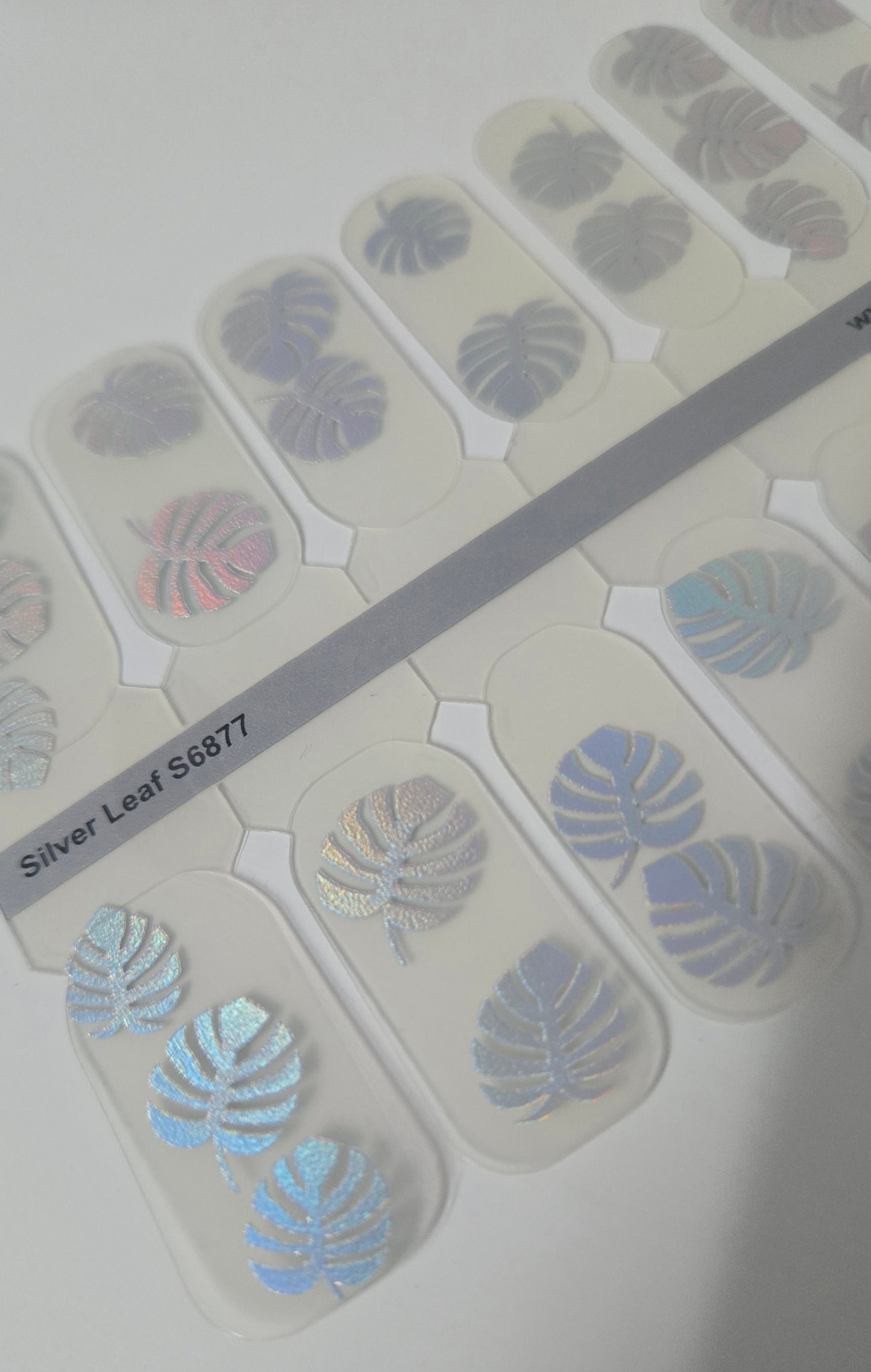 Exclusive GlossFlex - Summer 26 - Silver Leaf S6877 (transparent) - LIMITED!
