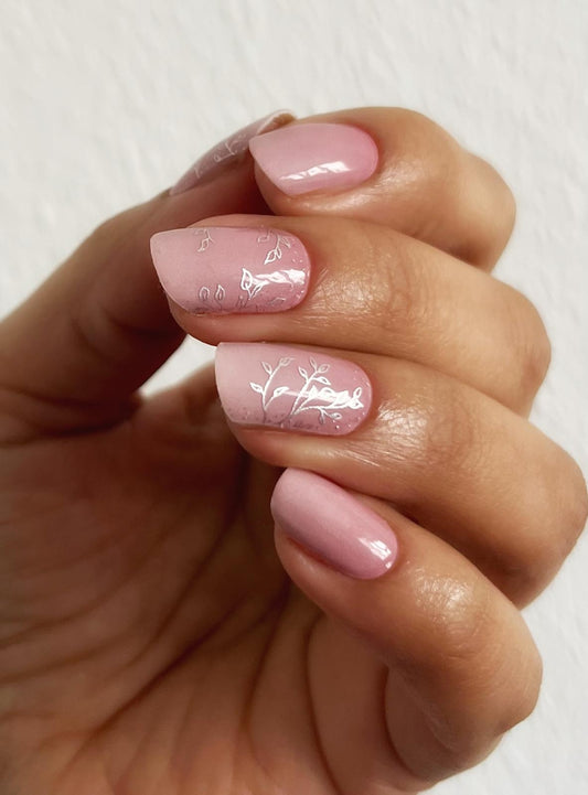 Exclusive - Angie S6853 (transparent) - LIMITED!