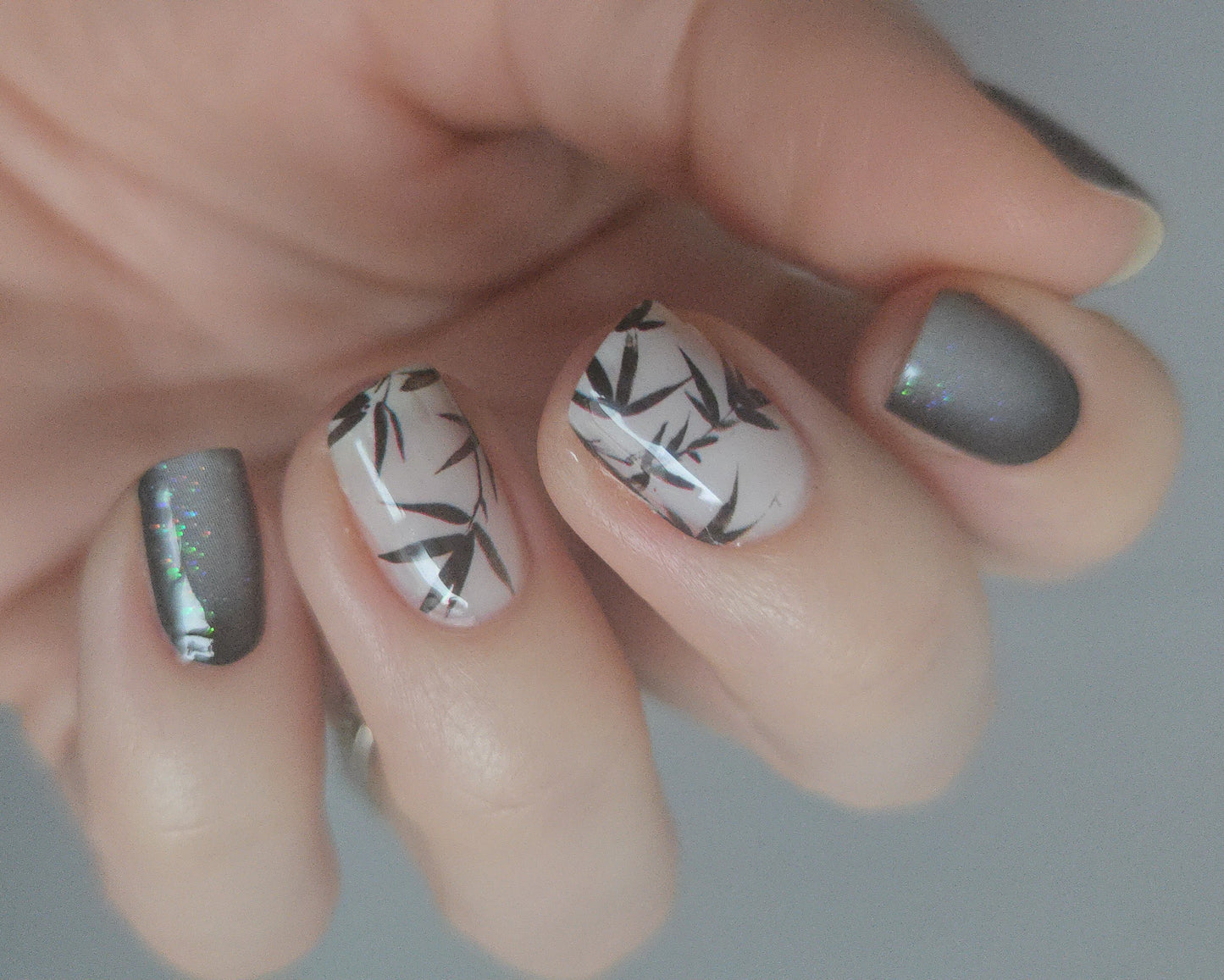 Exclusive - Emily S1813 - (transparent) LIMITED!