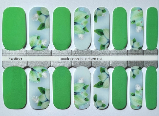 Exclusive - Exotica S6456 - LIMITED!