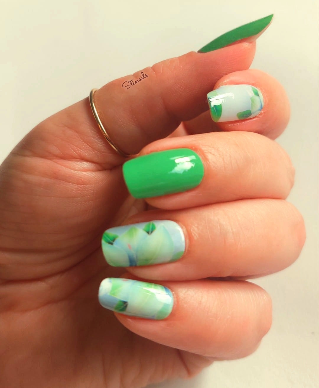 Exclusive - Exotica S6456 - LIMITED!