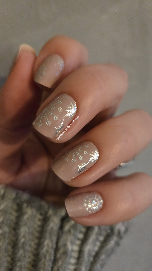 Exclusive GlossFlex - Winter S6845 - LIMITED