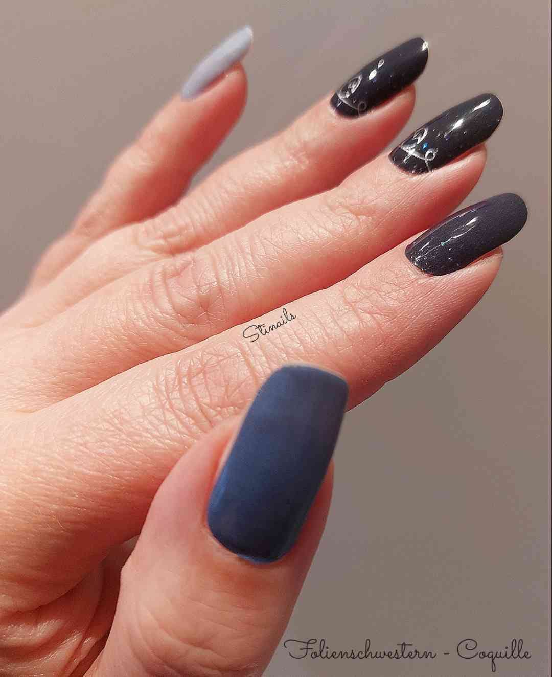 Exclusive - Coquille S6544 - LIMITED!