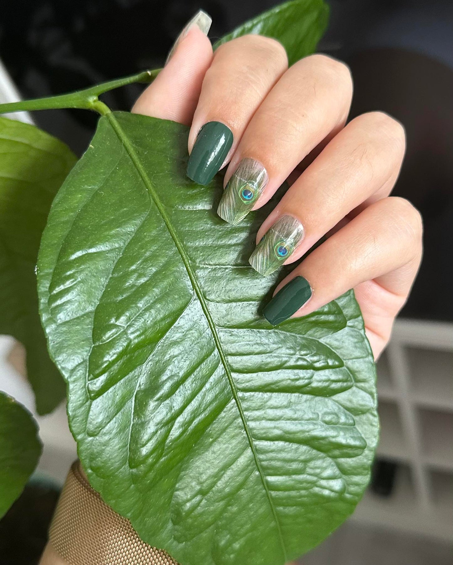 Exclusive - Juno (transparent) S6503 - LIMITED!