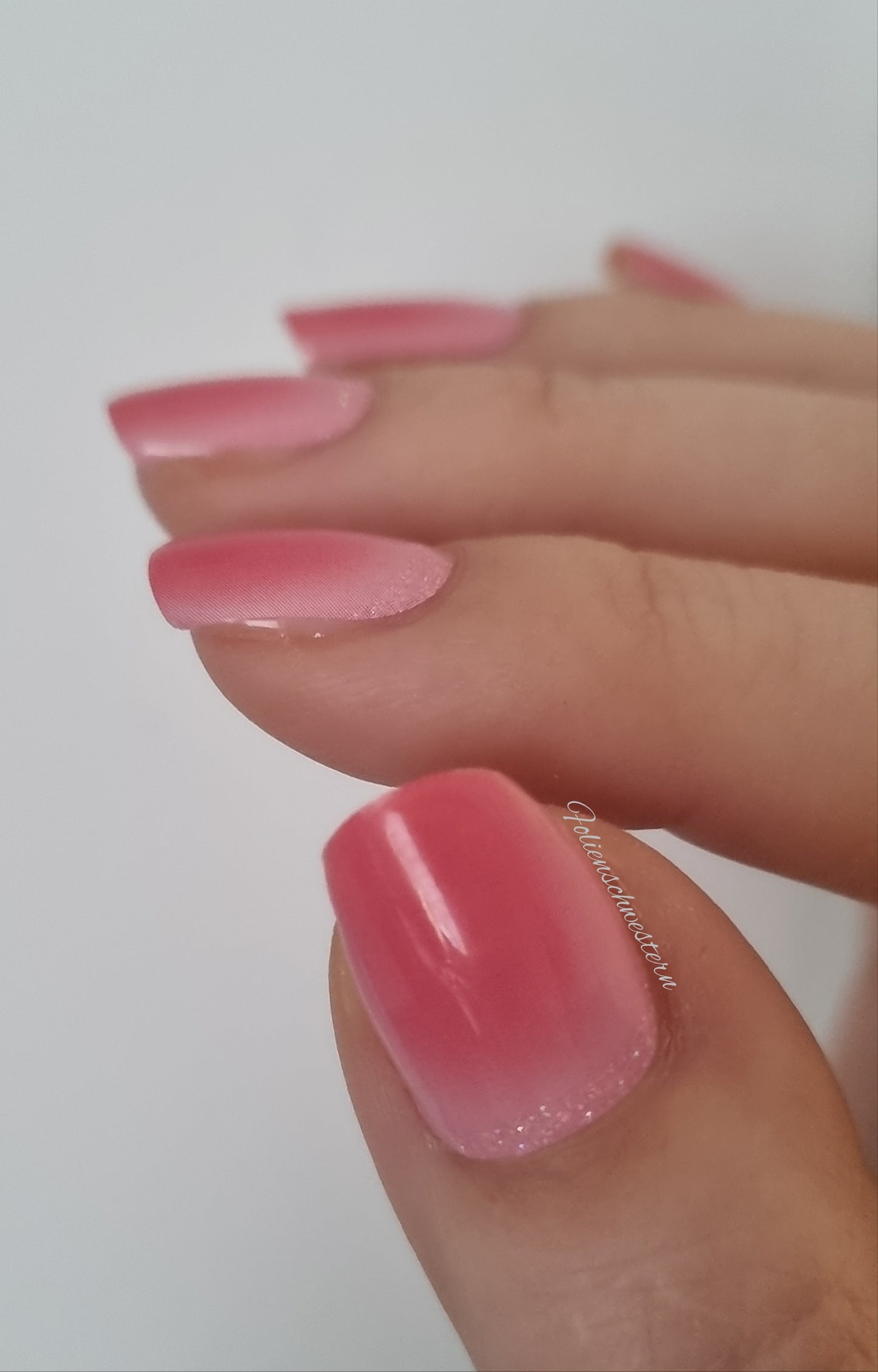 Exclusive - Kelly S6556 - LIMITED!