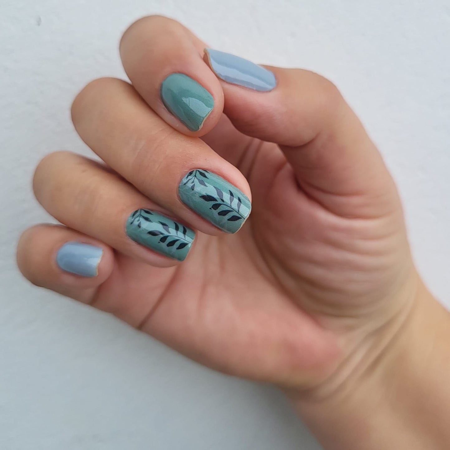 Exclusive - Kiana S6688 -  LIMITED!