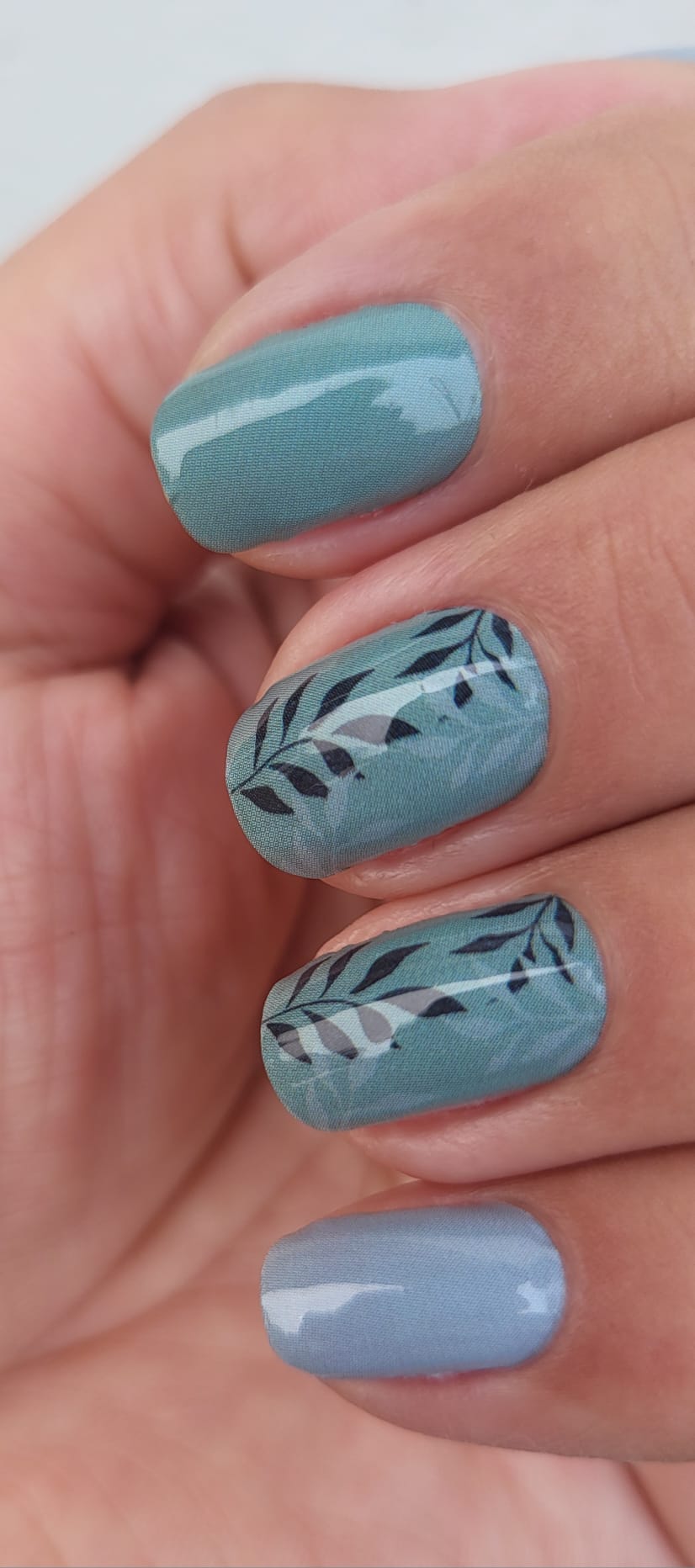 Exclusive - Kiana S6688 -  LIMITED!