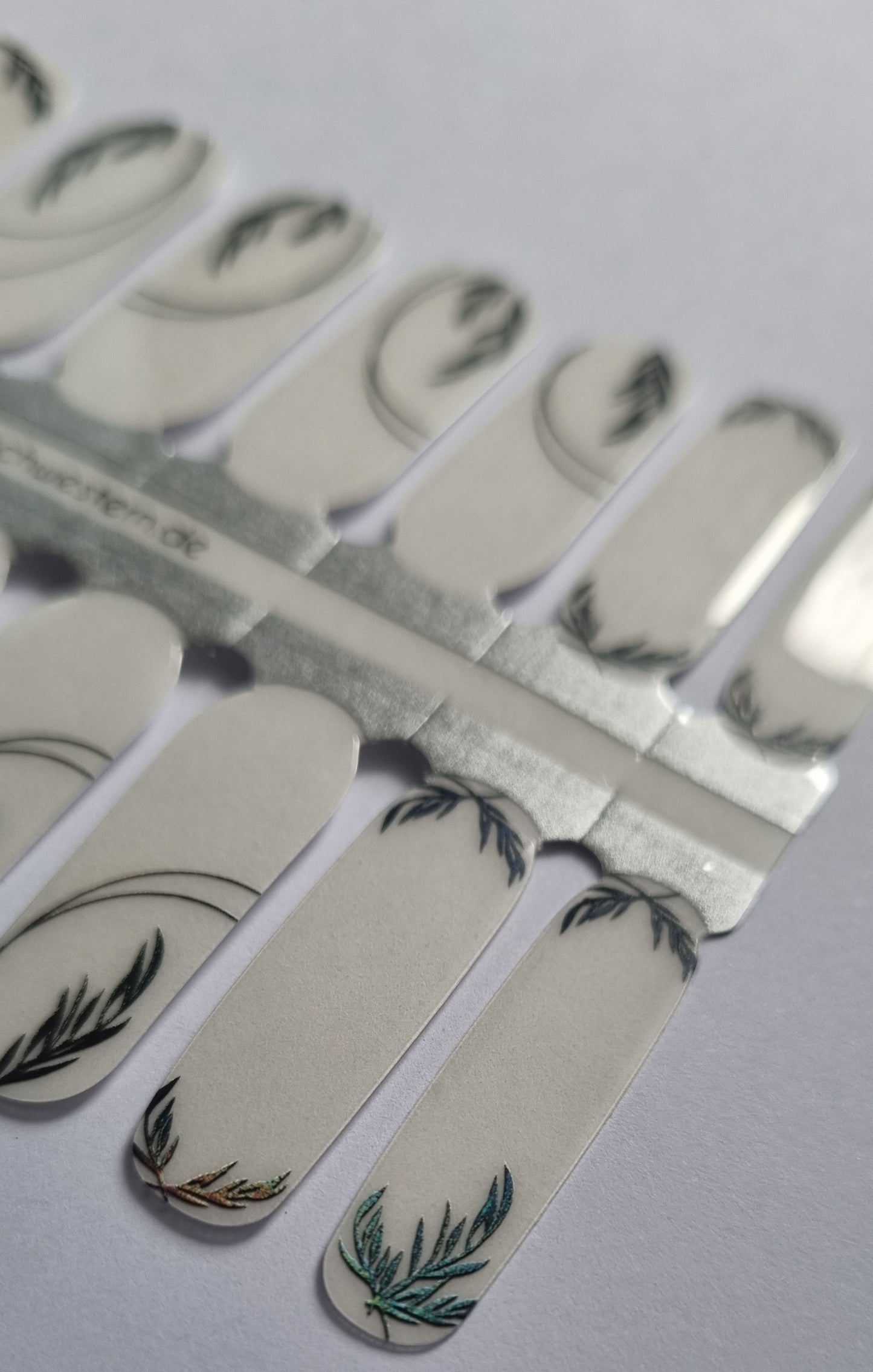 Exclusive - Black Bella S6576 (transparent) - LIMITED!