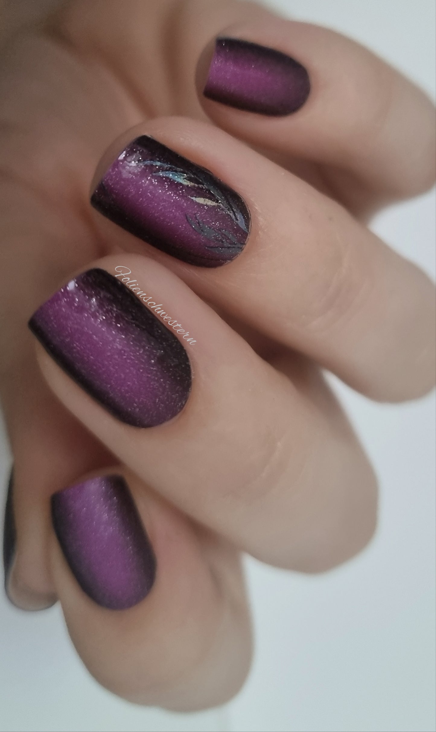 Exclusive SPECIALS - Holly S6575 (transparent) - LIMITED!