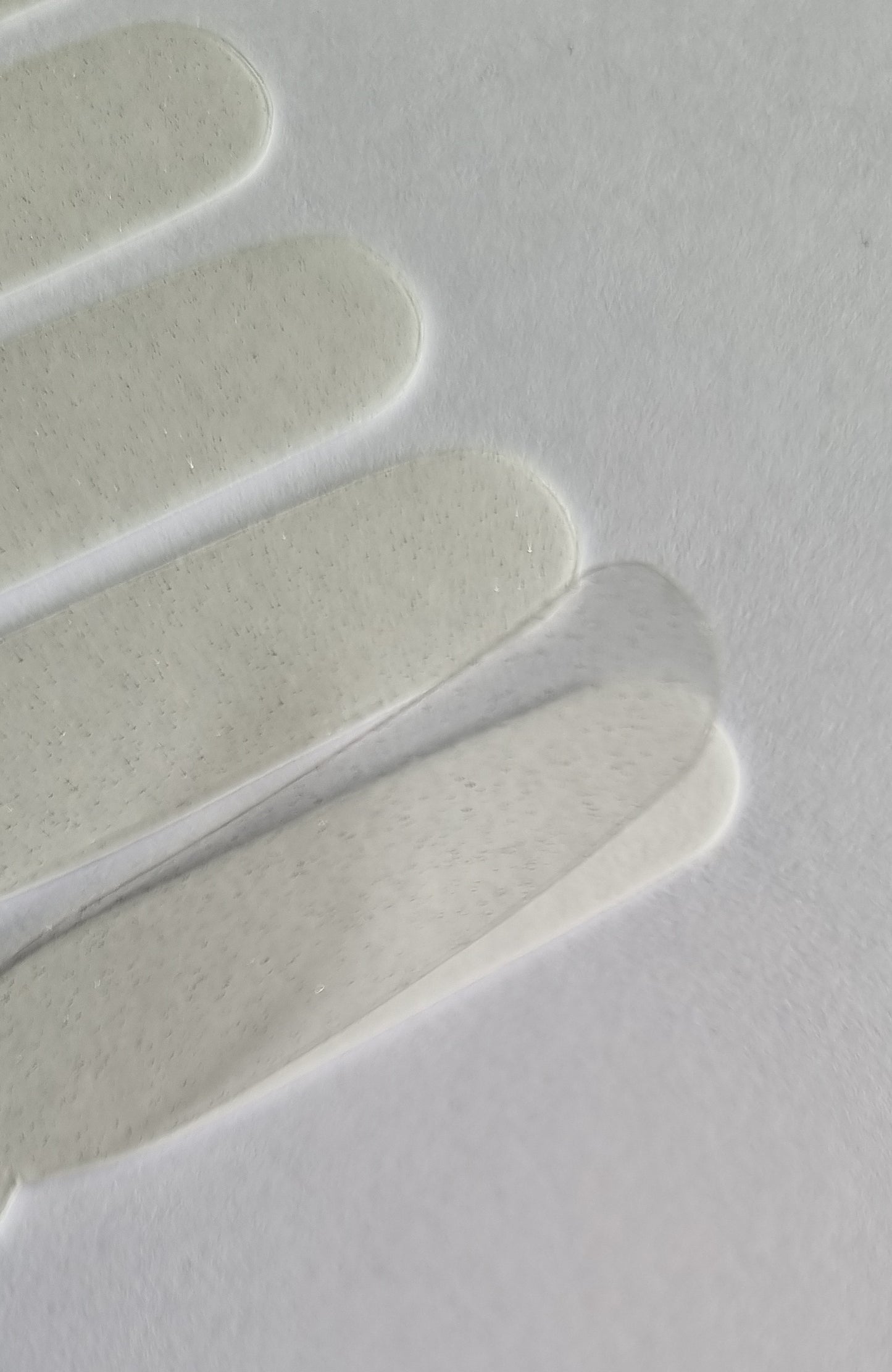 Exclusive SPECIALS - Holly S6575 (transparent) - LIMITED!