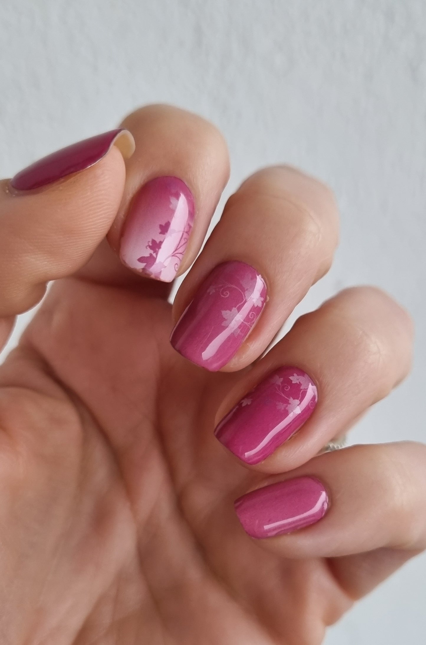 UV Gel Folien SG - Exclusive UV - Plum Mable Dream S6311 - LIMITED!