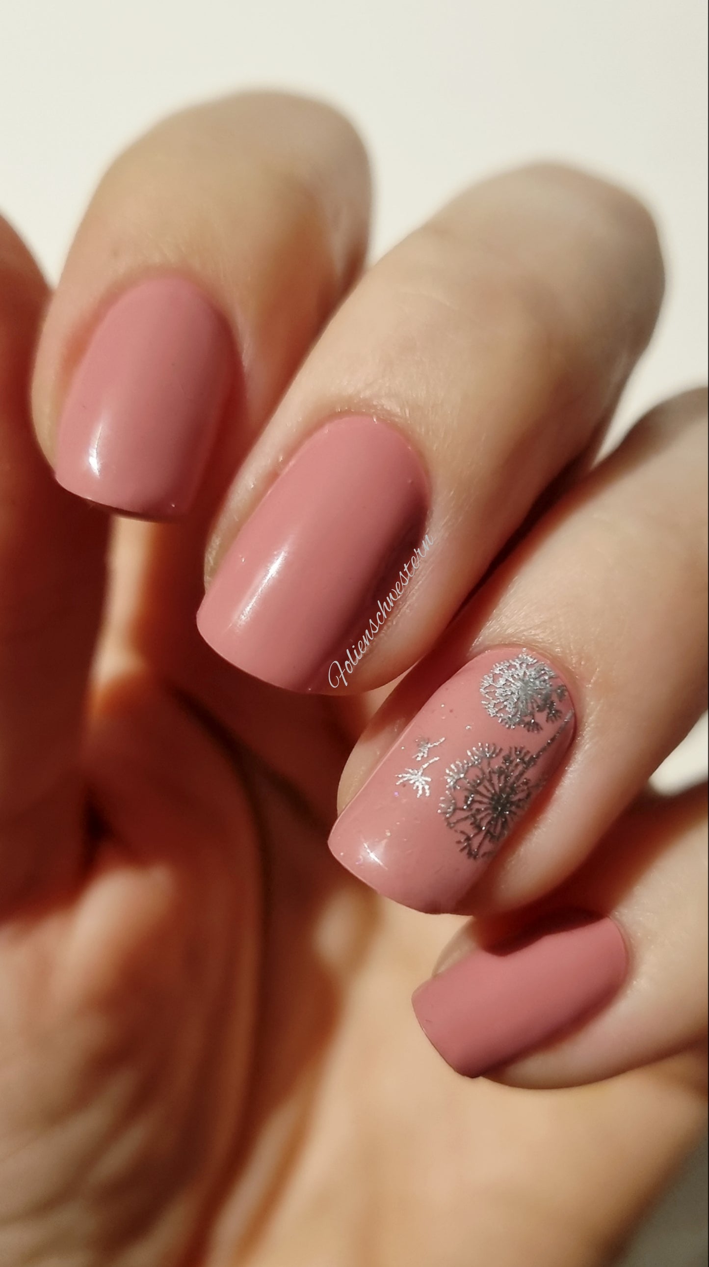 Exclusive - Lomi S6543 (transparent) - LIMITED!