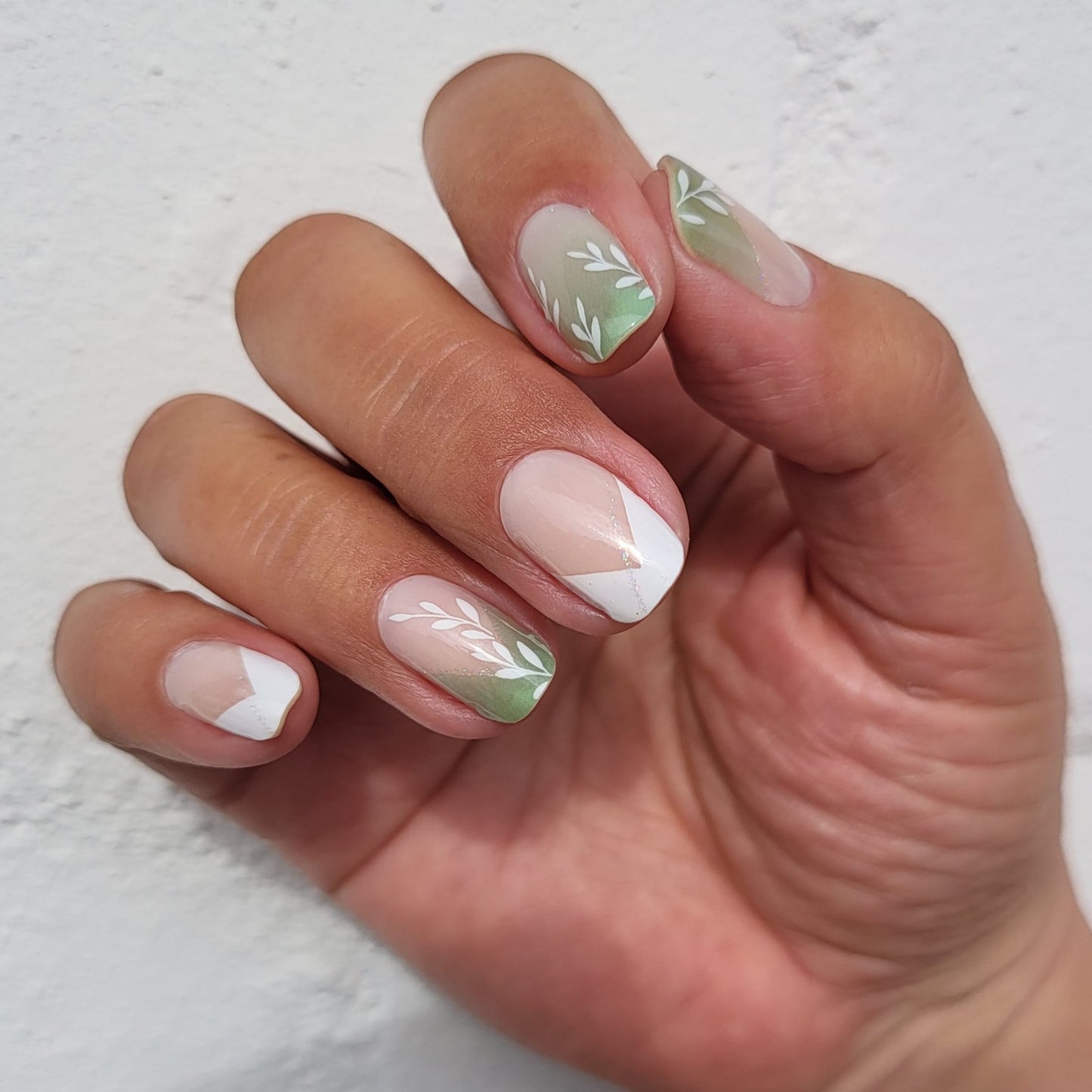 Exclusive - Albia S6619 - LIMITED!