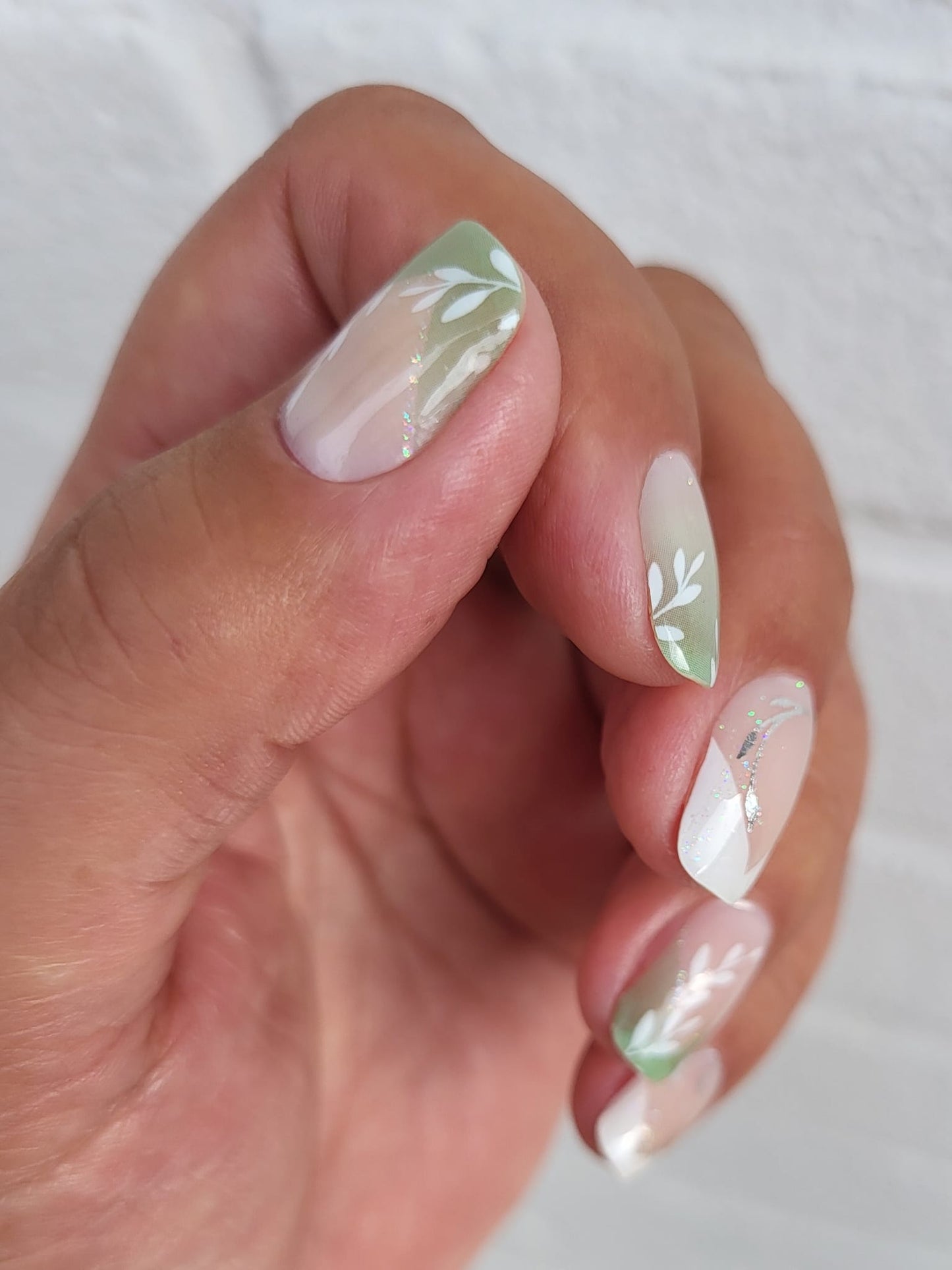 Exclusive - Albia S6619 - LIMITED!