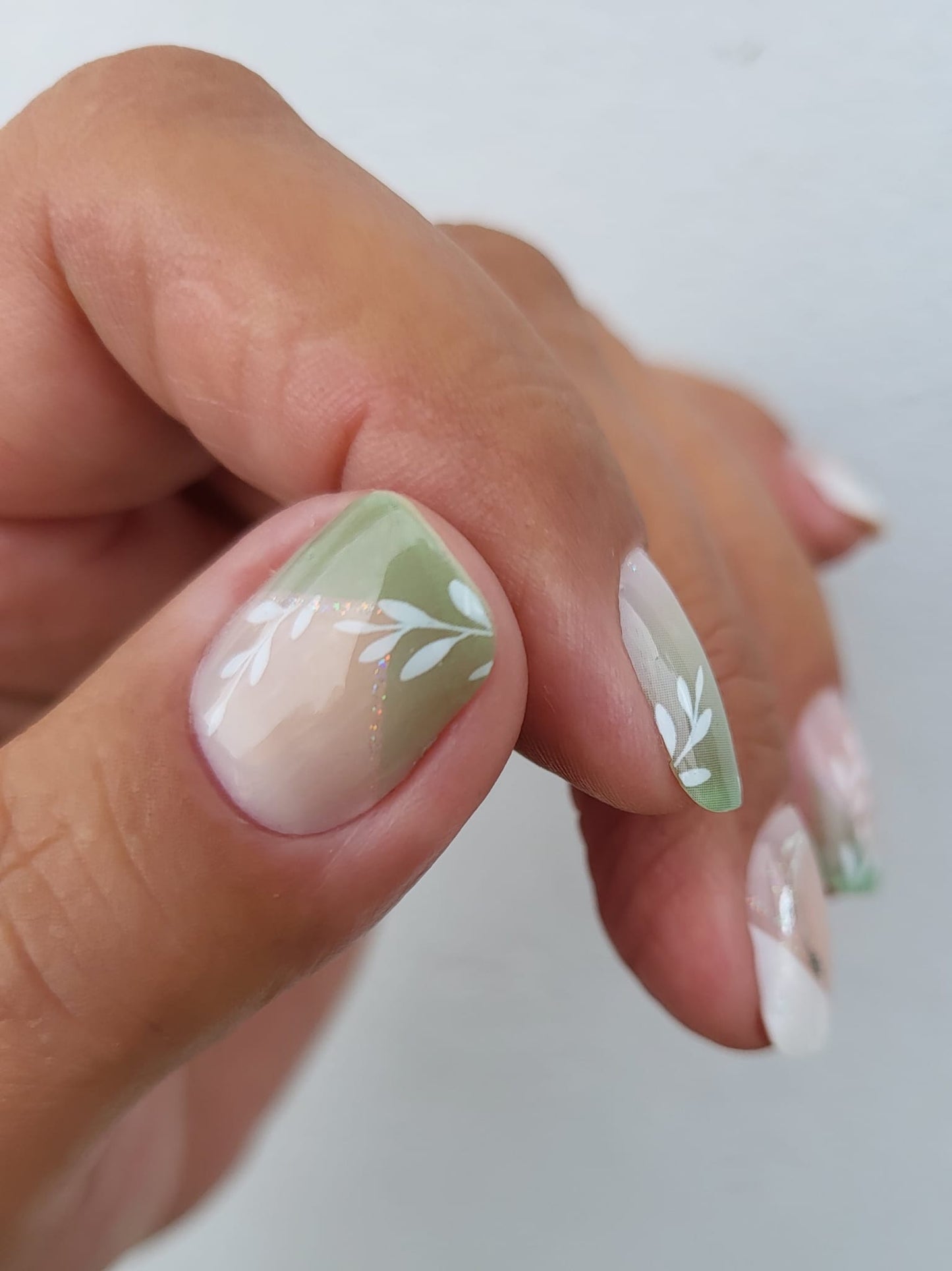 Exclusive - Albia S6619 - LIMITED!