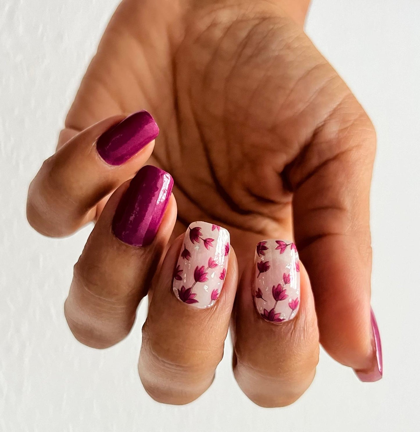 Exclusive - Caris S6651 -  LIMITED!