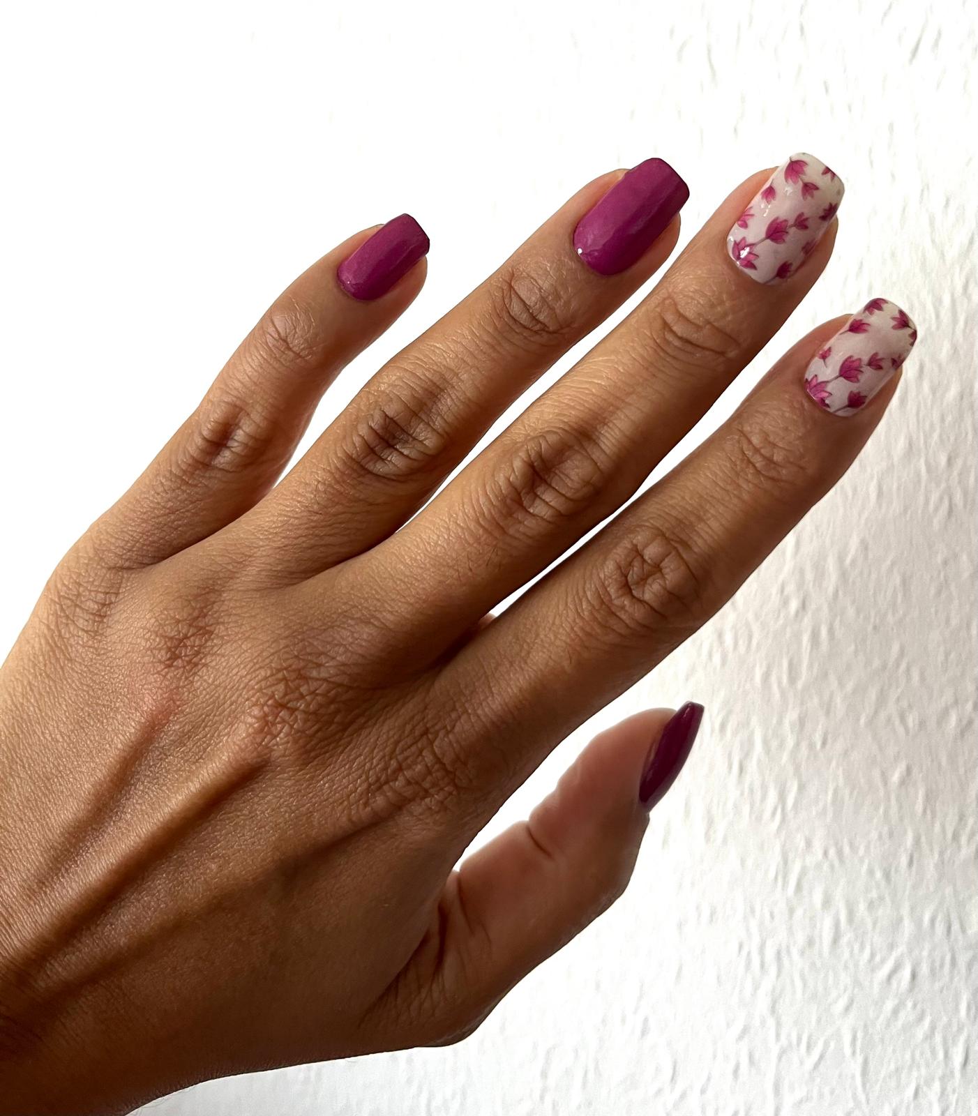 Exclusive - Caris S6651 -  LIMITED!