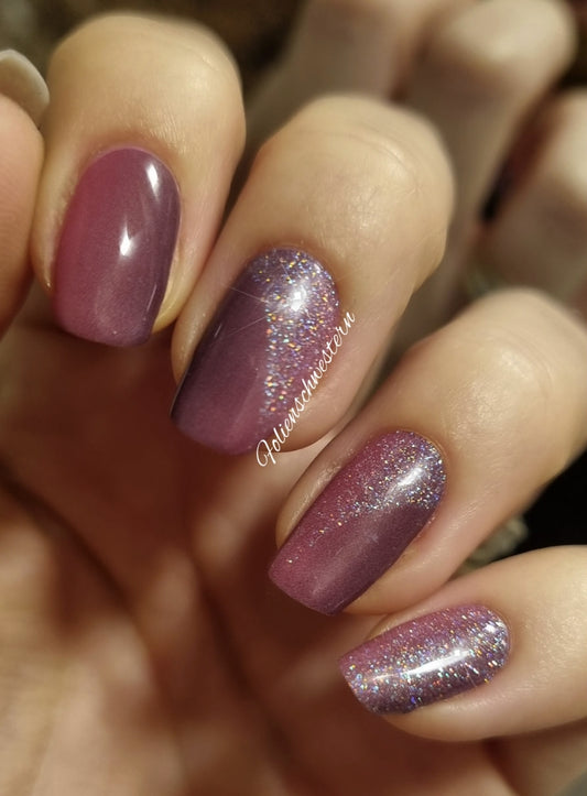 Exclusive - Diamond Plum Boomer X6260 - LIMITED - 2x14 Stück