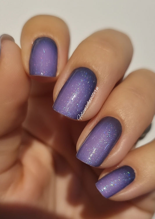 Exclusive - Nora S6660 -  LIMITED!