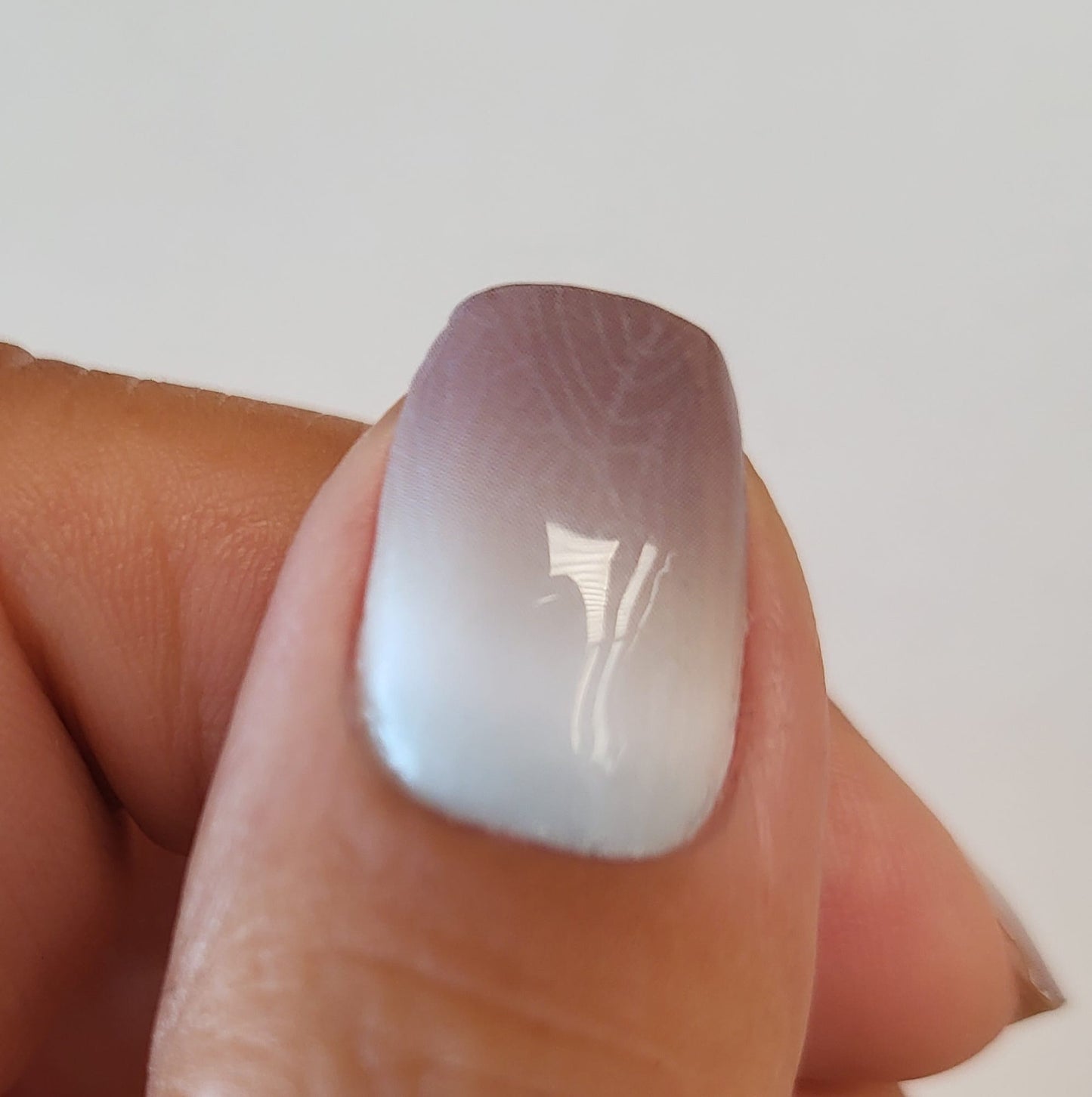 Exclusive - Pamela S6659 -  LIMITED!