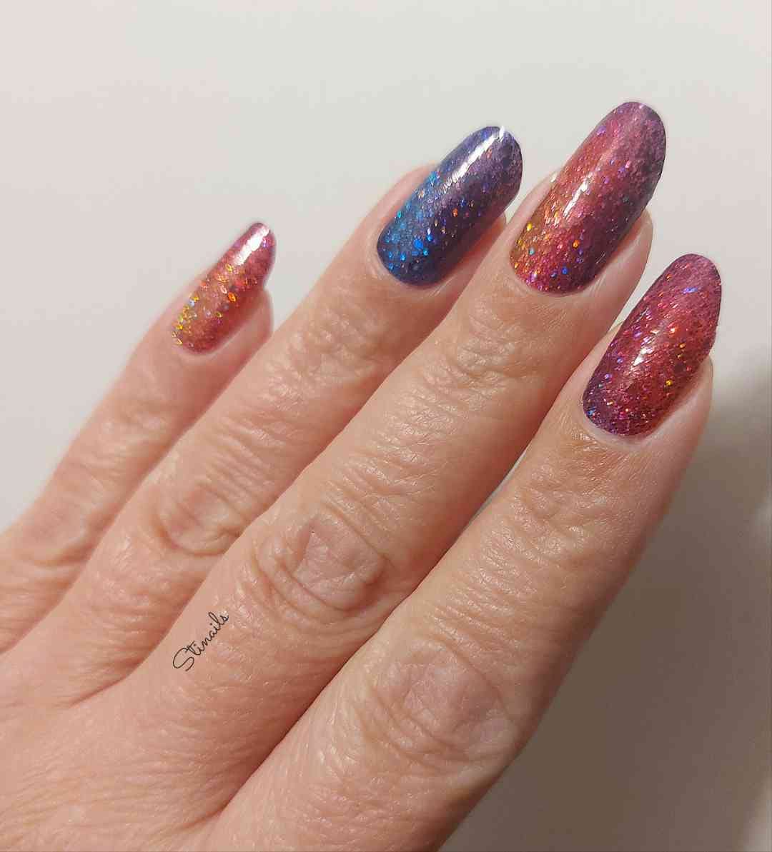 Specials: Colorful Harvest SL006 (LIMITED)