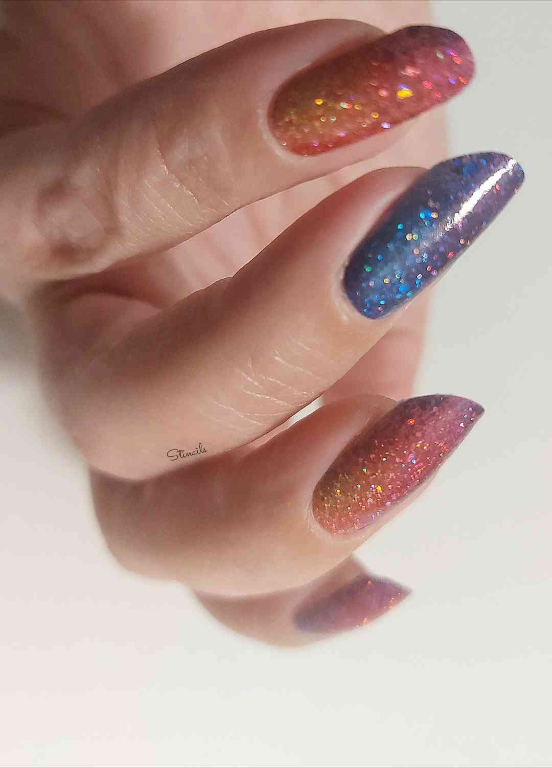 Specials: Colorful Harvest SL006 (LIMITED)