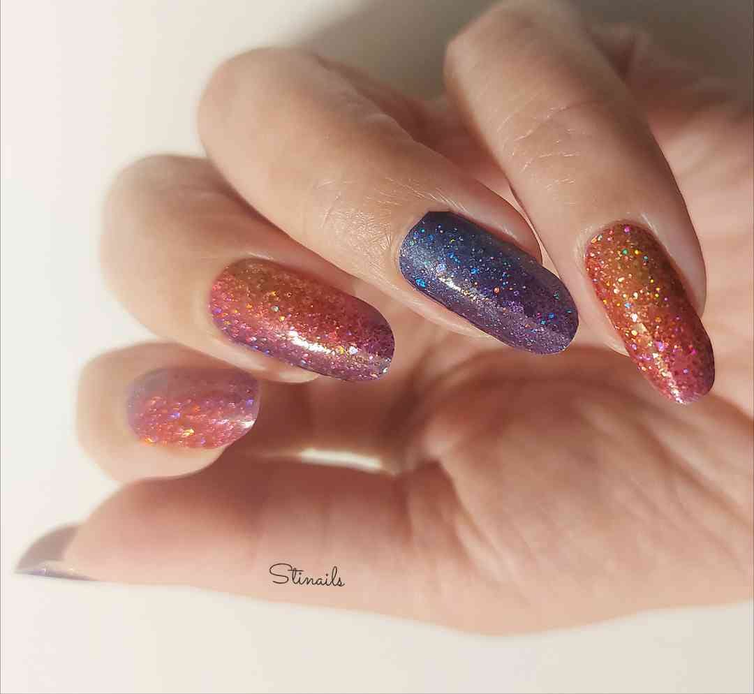 Specials: Colorful Harvest SL006 (LIMITED)