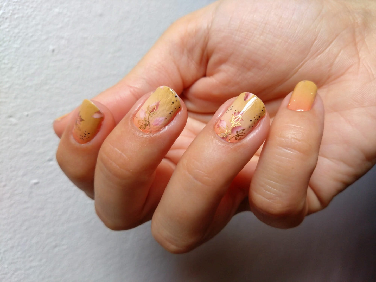 Exclusive - Dhora S6820 -  LIMITED!